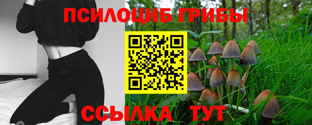 Галлюциногенные грибы GOLDEN TEACHER  Галлюциногенные грибы Psilocybe  Вход с VPN  Фурманов 
